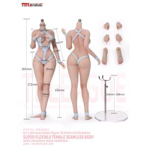 Alluring Kitty Girl: Platinum Silicone Female Body 1/6 - Small Bust (Pake Skin) [TB League]