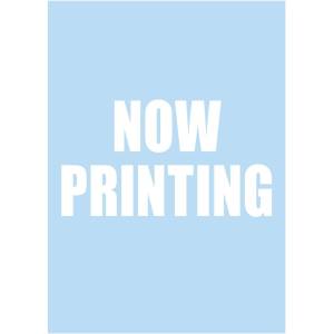 HG 1/144: Mobile Suit Gundam SEED Destiny (Gundam Decal No.149) [Bandai Spirits]