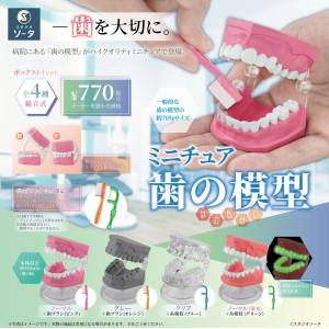 Miniature Dental Model (Set of 4) [SO-TA]