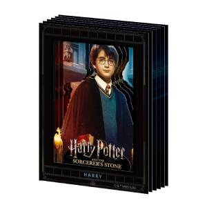 Harry Potter: Harry Potter - Paper Shadow Art Mini [Ensky]