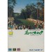 New 3D Golf Simulation: Augusta National Golf Club [Mega Drive - occasion]